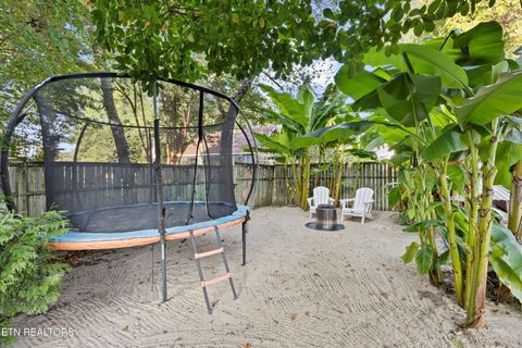 Tiny photo for 821 Luttrell St, Knoxville, TN 37917 (MLS # 1316272)