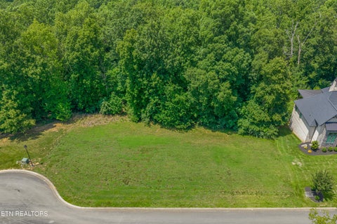 Photo of 3336 Preserve Pointe, Louisville, TN 37777 (MLS # 1349191)