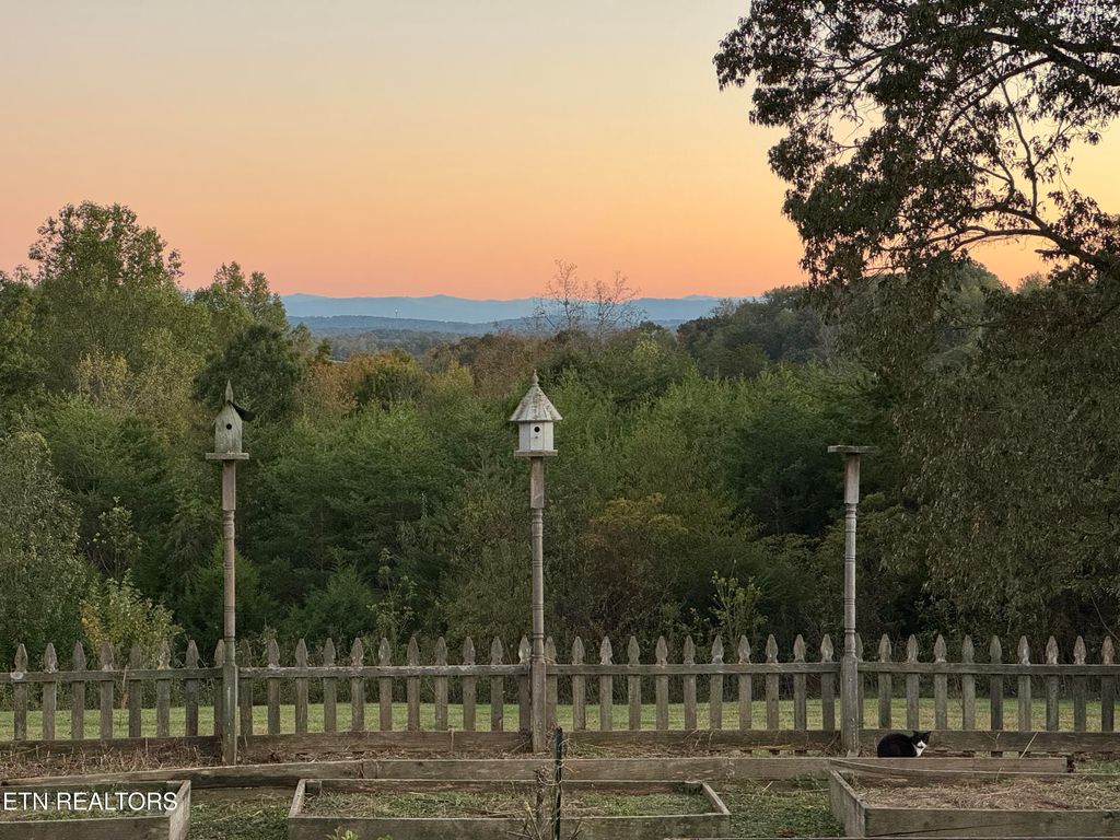 Photo of 326 Richland Creek Drive, Blaine, TN 37709 (MLS # 1279969)