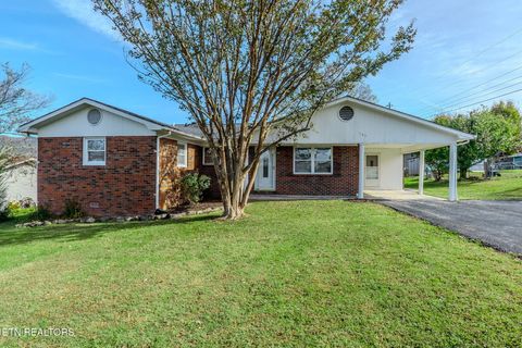 Photo of 146 Brittain Drive, Harrogate, TN 37752 (MLS # 1321068)