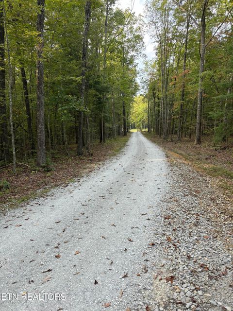 Tiny photo for 255 Crest View Drive, Sunbright, TN 37872 (MLS # 1316092)