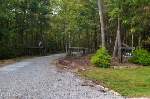 Tiny photo for 255 Crest View Drive, Sunbright, TN 37872 (MLS # 1316092)