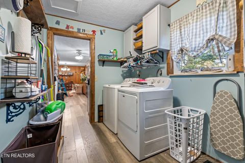 Tiny photo for 122 Shelby Loop, New Tazewell, TN 37825 (MLS # 1318560)
