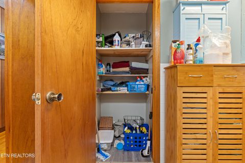 Tiny photo for 122 Shelby Loop, New Tazewell, TN 37825 (MLS # 1318560)