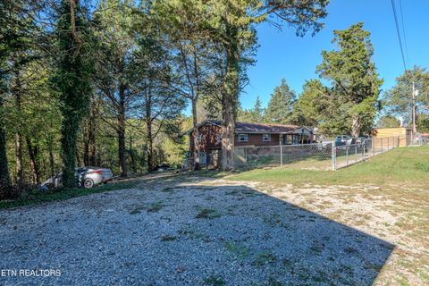 Tiny photo for 122 Shelby Loop, New Tazewell, TN 37825 (MLS # 1318560)
