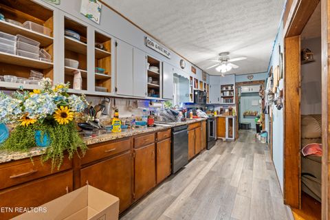Tiny photo for 122 Shelby Loop, New Tazewell, TN 37825 (MLS # 1318560)