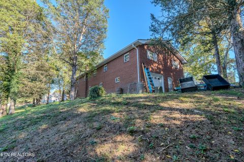 Tiny photo for 122 Shelby Loop, New Tazewell, TN 37825 (MLS # 1318560)