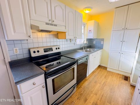 Tiny photo for 978 Beechwood Drive, Dandridge, TN 37725 (MLS # 1329363)