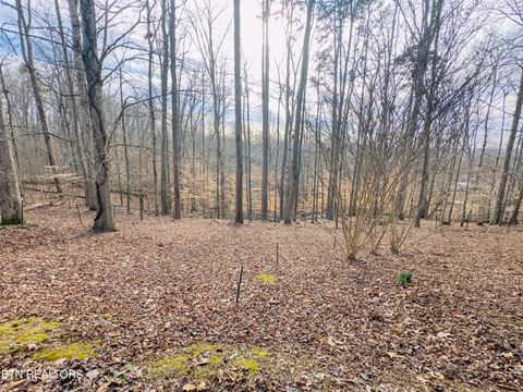 Tiny photo for 978 Beechwood Drive, Dandridge, TN 37725 (MLS # 1329363)