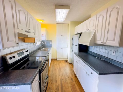 Tiny photo for 978 Beechwood Drive, Dandridge, TN 37725 (MLS # 1329363)