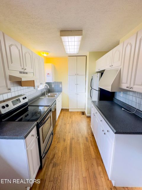 Tiny photo for 978 Beechwood Drive, Dandridge, TN 37725 (MLS # 1329363)