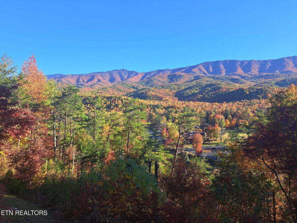 Photo of 429 Deer Path Lane Ln #201, Gatlinburg, TN 37738 (MLS # 1317138)
