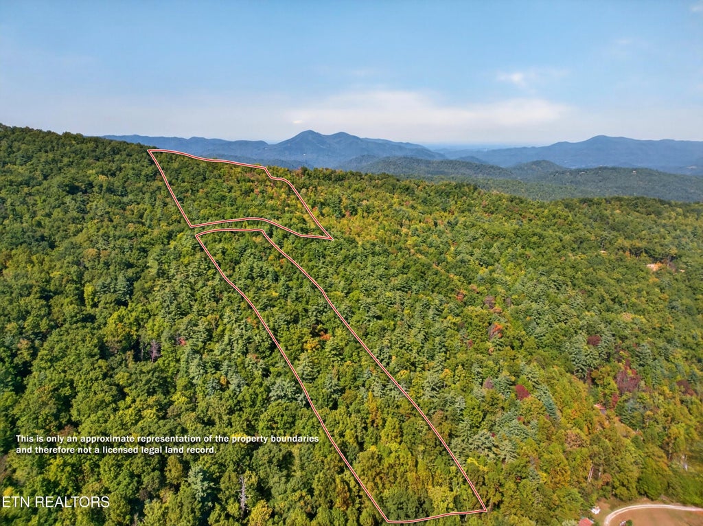 Photo of 000 Reece Hollow Rd, Del Rio, TN 37727 (MLS # 1359245)