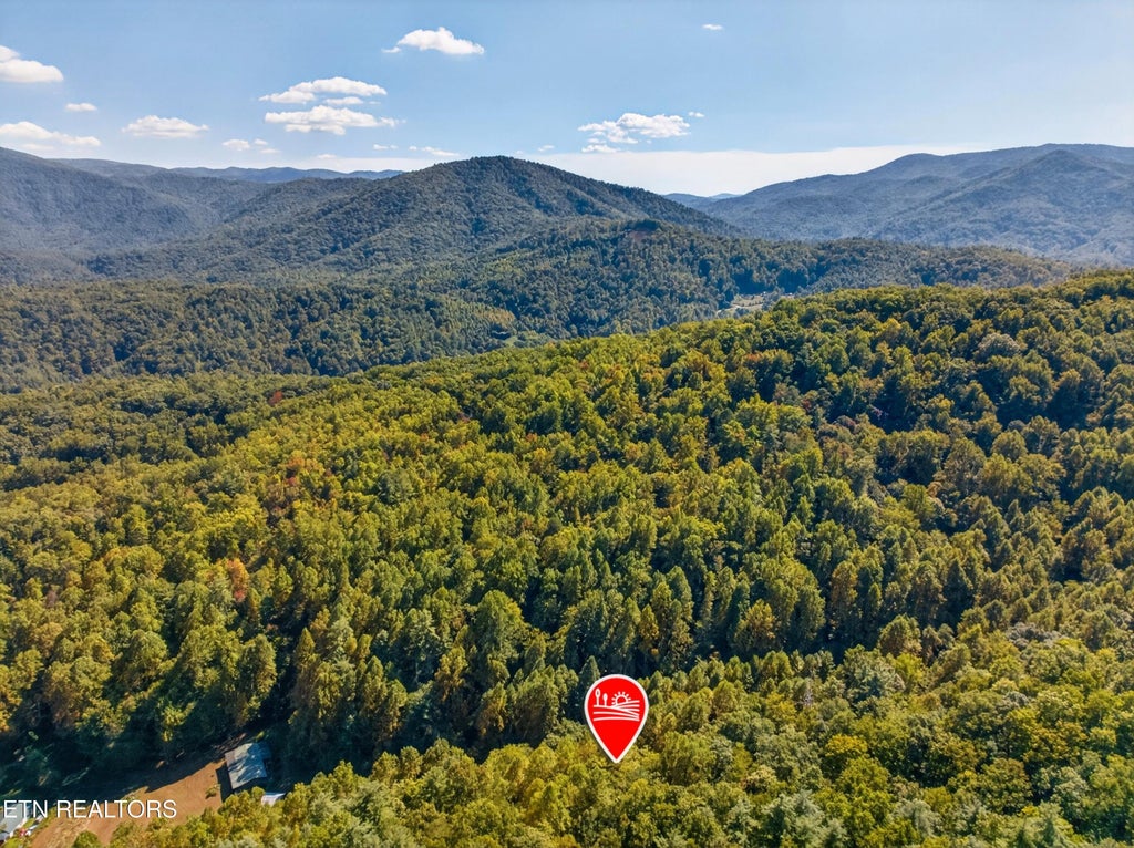 Photo of 000 Reece Hollow Rd, Del Rio, TN 37727 (MLS # 1359245)