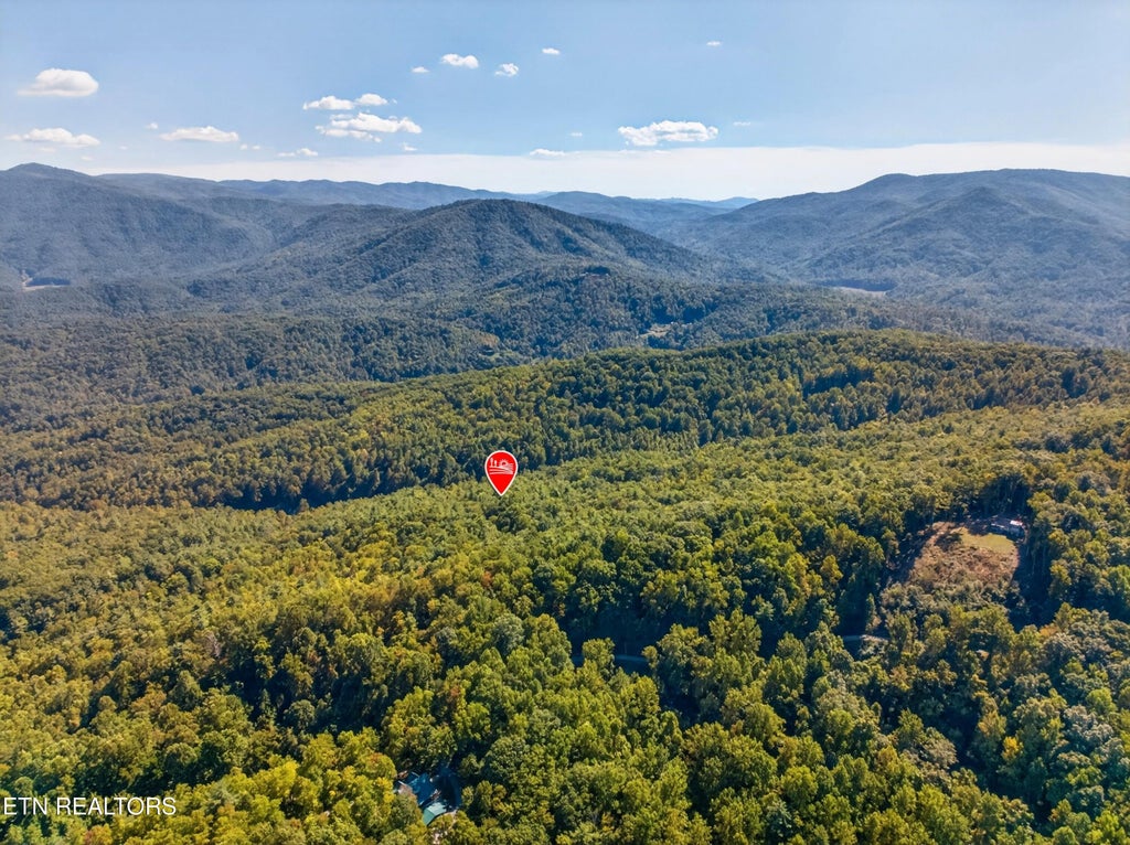 Photo of 000 Reece Hollow Rd, Del Rio, TN 37727 (MLS # 1359245)