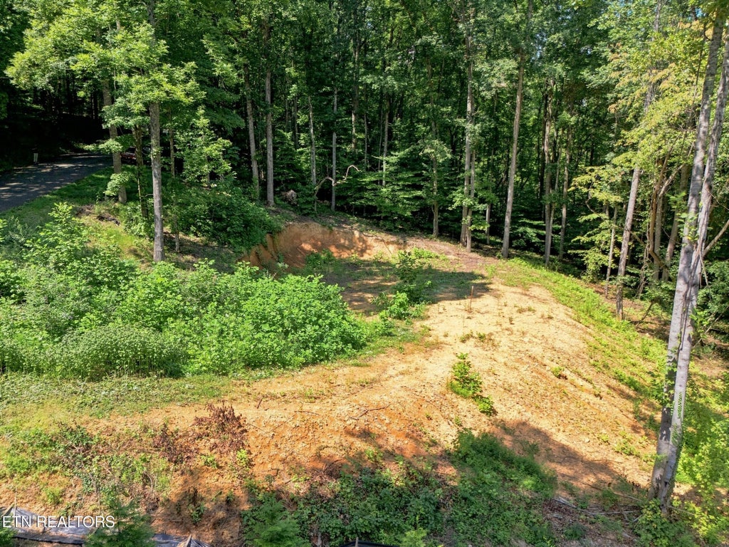 Photo of 617 Skyline Drive, Clinton, TN 37716 (MLS # 1353613)