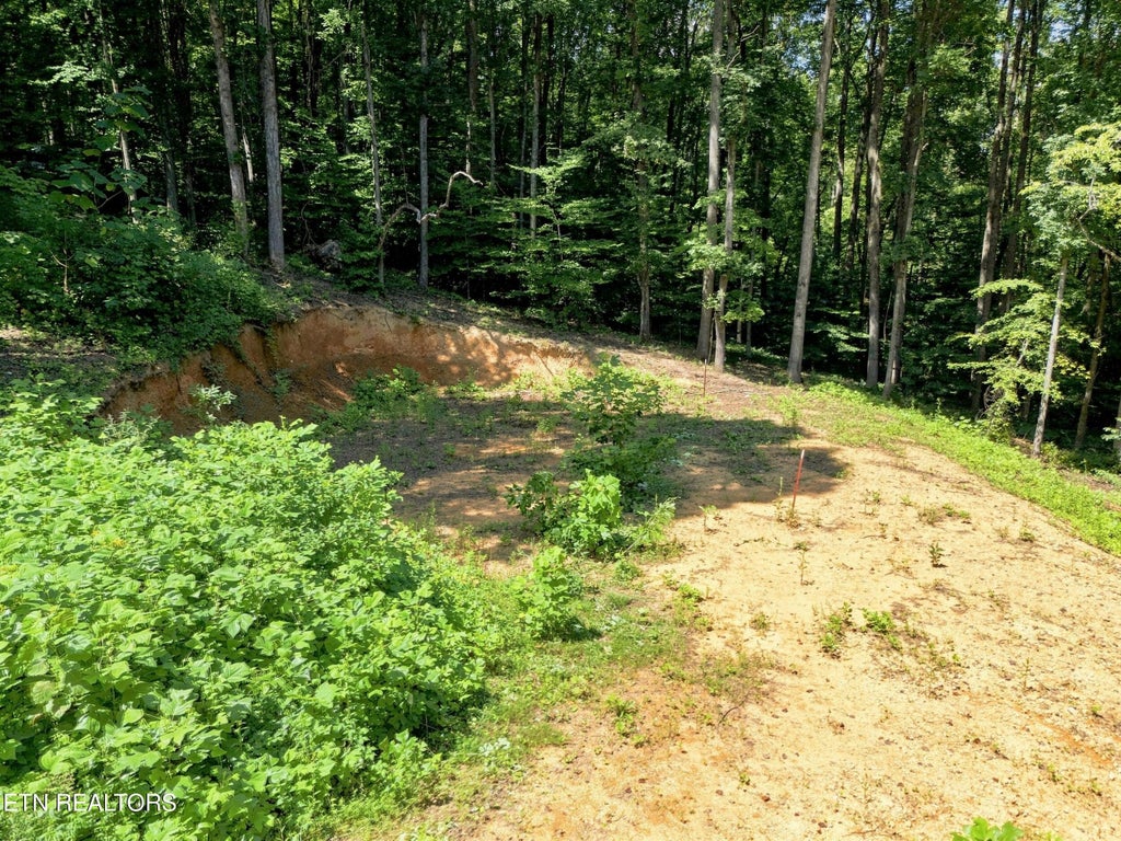 Photo of 617 Skyline Drive, Clinton, TN 37716 (MLS # 1353613)
