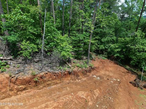 Photo of 1124 Galyon Rd, Maryville, TN 37803 (MLS # 1342557)