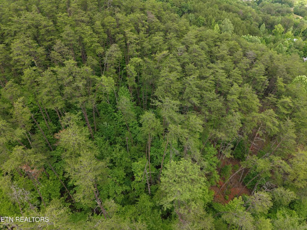 Photo of 1124 Galyon Rd, Maryville, TN 37803 (MLS # 1342557)