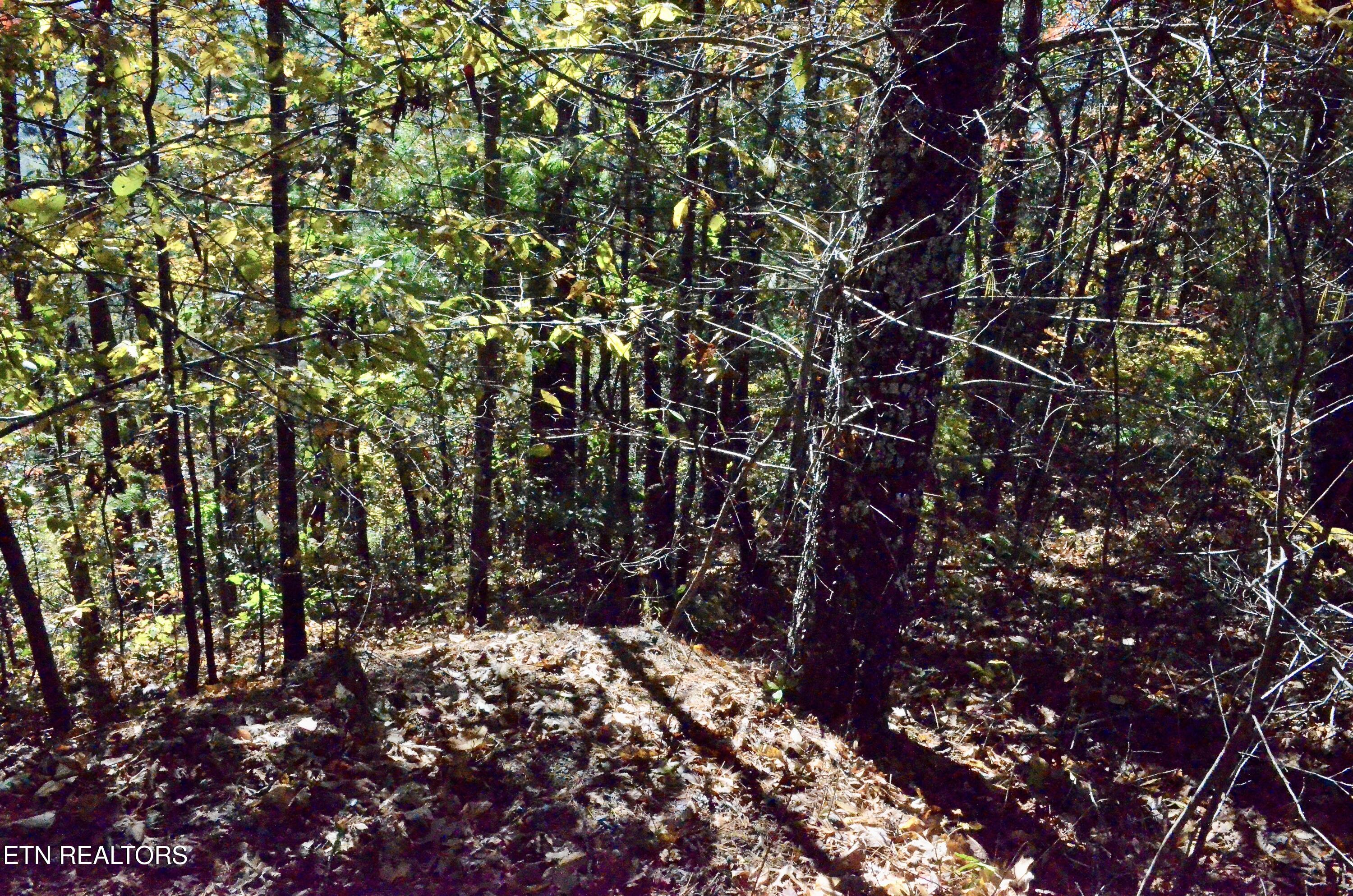 Lot 28R Mountain Retreat Road Lot 28R