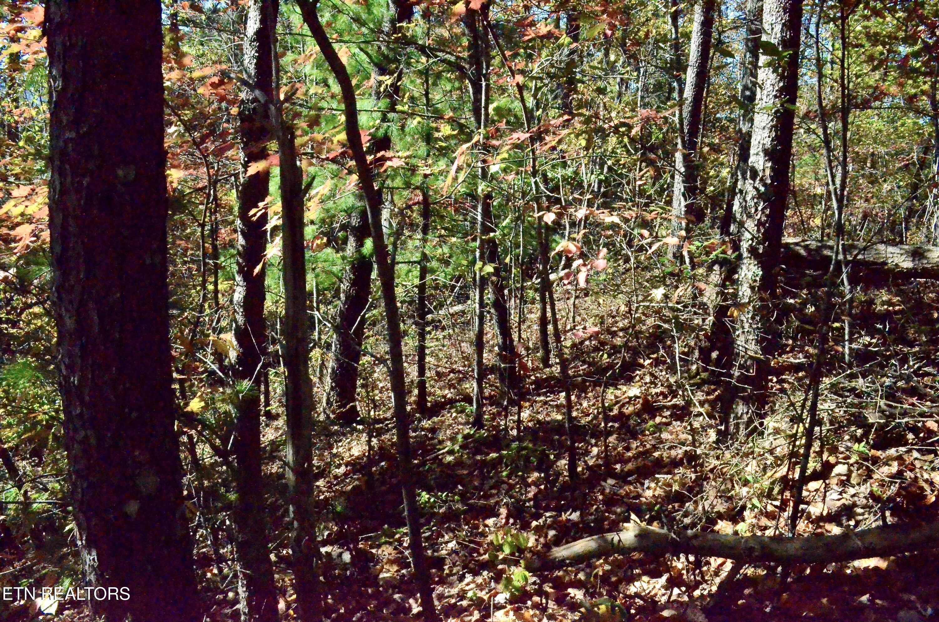 Lot 28R Mountain Retreat Road Lot 28R