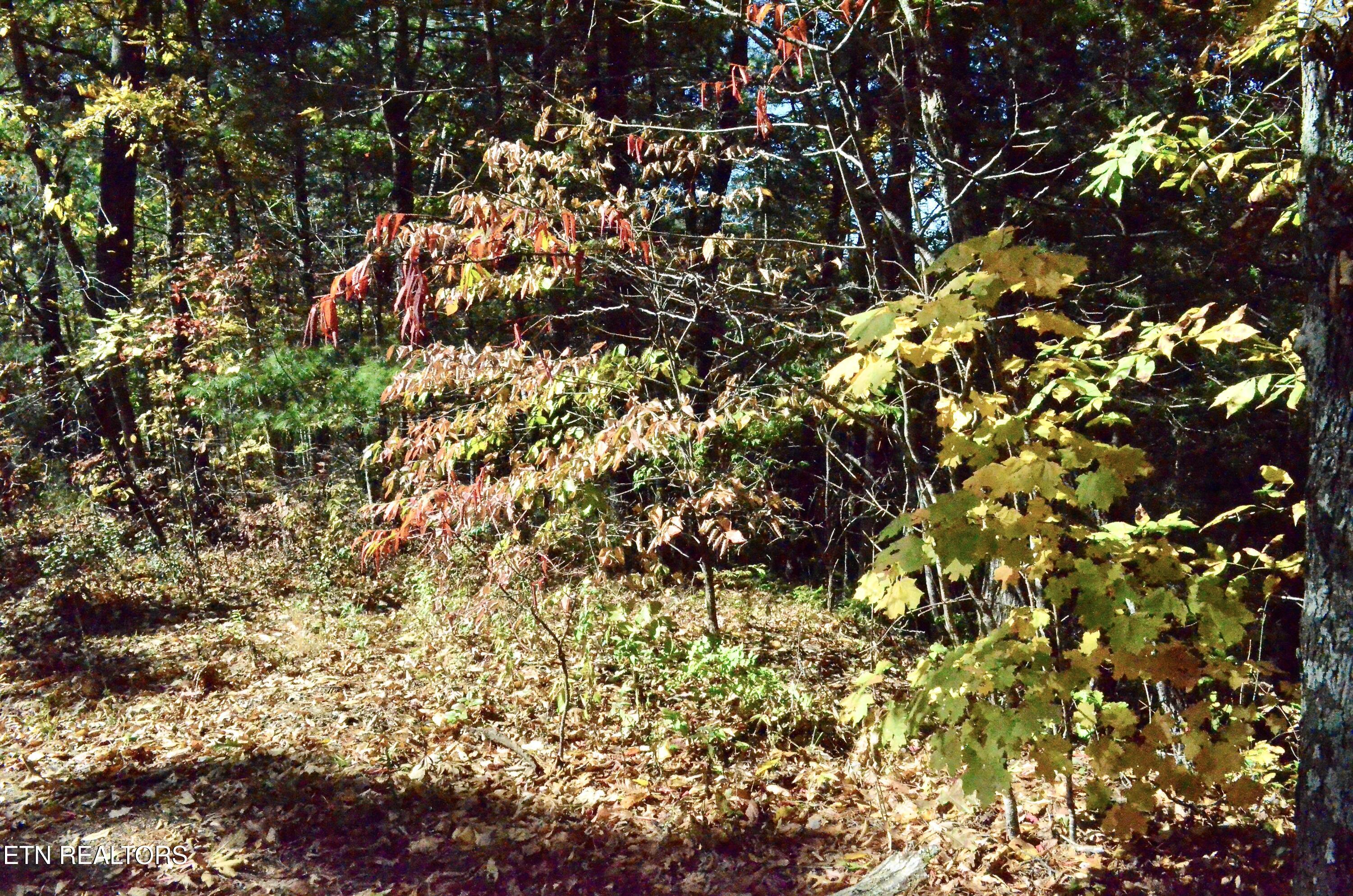 Lot 28R Mountain Retreat Road Lot 28R