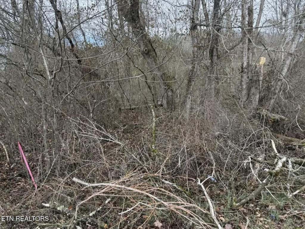 Photo of Balboa Drive, Rockwood, TN 37854 (MLS # 1343178)