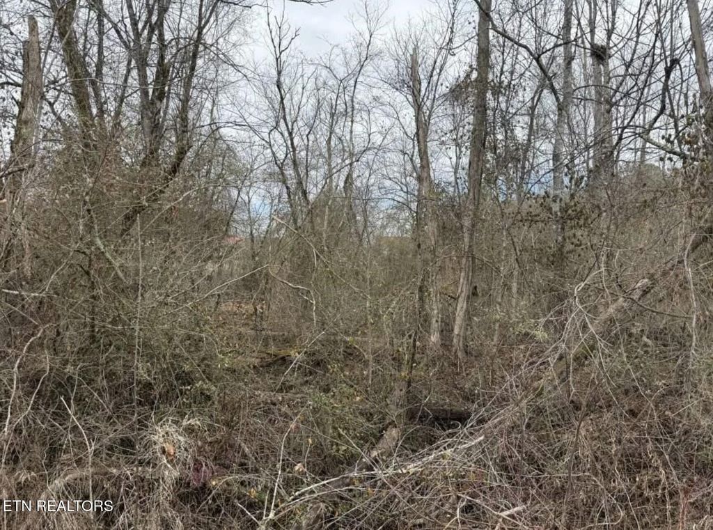 Photo of Balboa Drive, Rockwood, TN 37854 (MLS # 1343178)
