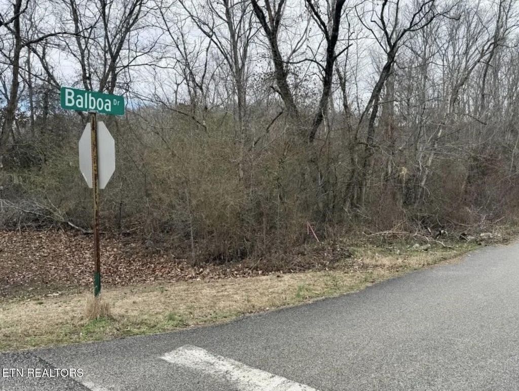 Photo of Balboa Drive, Rockwood, TN 37854 (MLS # 1343178)