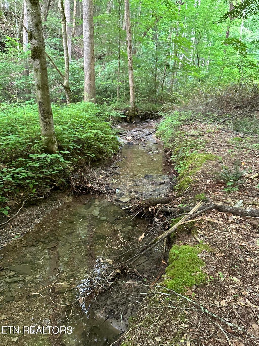 Photo of 618 Tanasi Tr, Townsend, TN 37882 (MLS # 1266515)