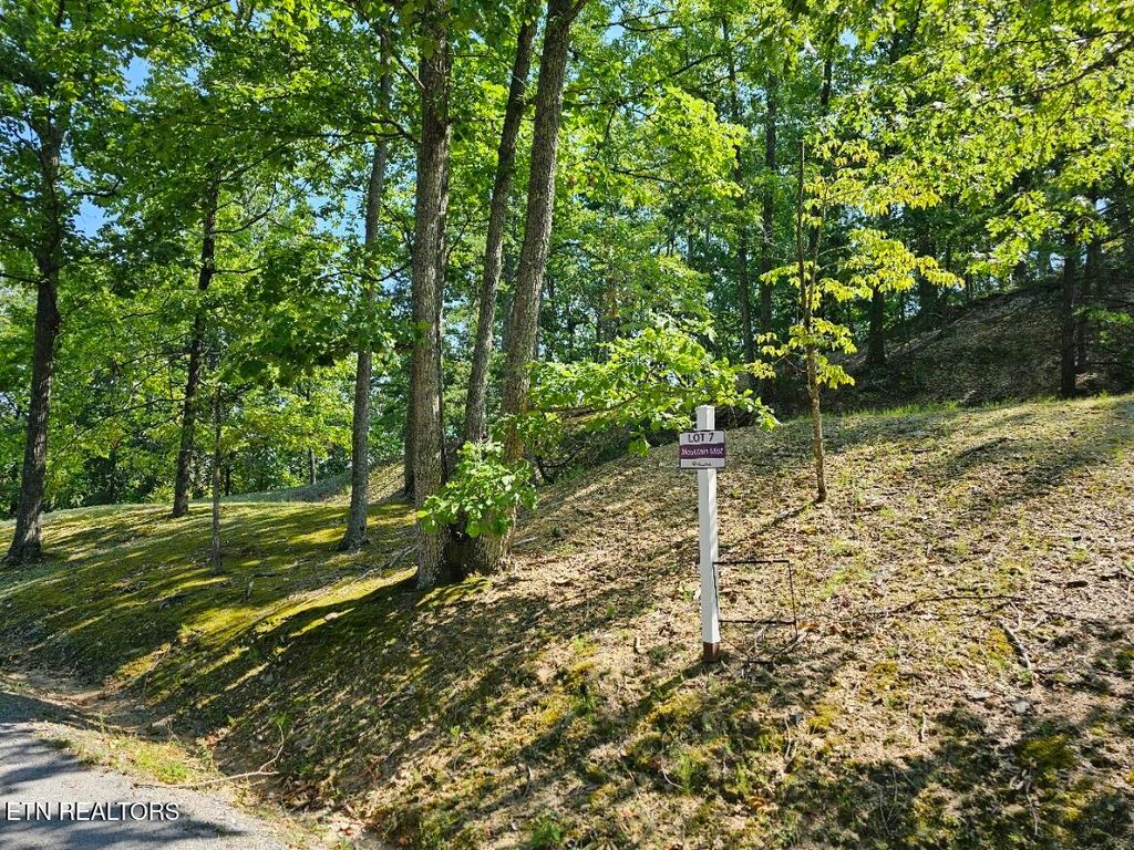 Photo of 7 Village Circle, Sevierville, TN 37862 (MLS # 1316054)
