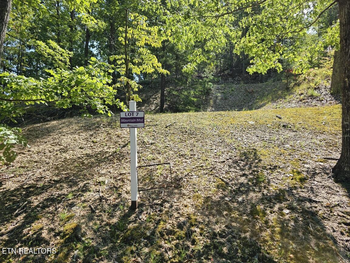 Lot 7-AR Village Circle