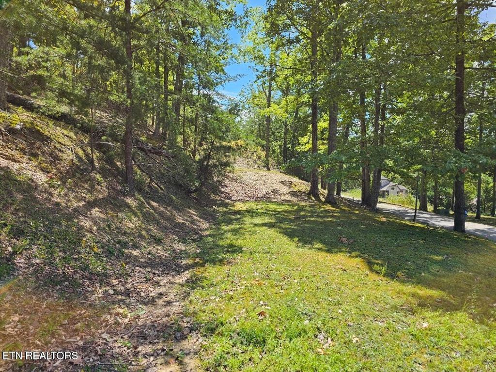 Photo of 7 Village Circle, Sevierville, TN 37862 (MLS # 1316054)