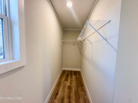 Tiny photo for 8505 E Emory Rd, Corryton, TN 37721 (MLS # 1325348)