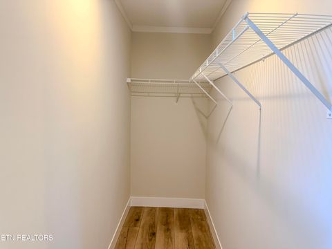 Tiny photo for 8505 E Emory Rd, Corryton, TN 37721 (MLS # 1325348)