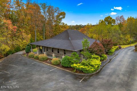 Tiny photo for 855 Blue Herring Way Way, Sevierville, TN 37876 (MLS # 1320756)