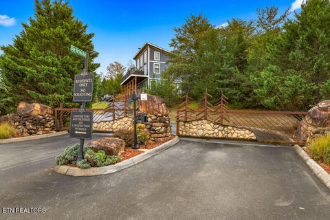Tiny photo for 855 Blue Herring Way Way, Sevierville, TN 37876 (MLS # 1320756)