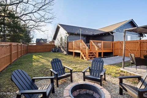 Tiny photo for 855 Blue Herring Way Way, Sevierville, TN 37876 (MLS # 1320756)