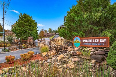 Tiny photo for 855 Blue Herring Way Way, Sevierville, TN 37876 (MLS # 1320756)