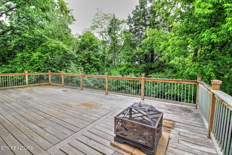 Tiny photo for 307 Java Way, Knoxville, TN 37923 (MLS # 1339502)