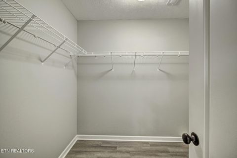 Tiny photo for 307 Java Way, Knoxville, TN 37923 (MLS # 1339502)