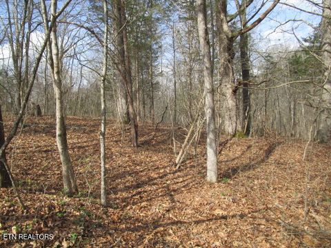 Tiny photo for 285 McKinney Rd, Blaine, TN 37709 (MLS # 1332310)