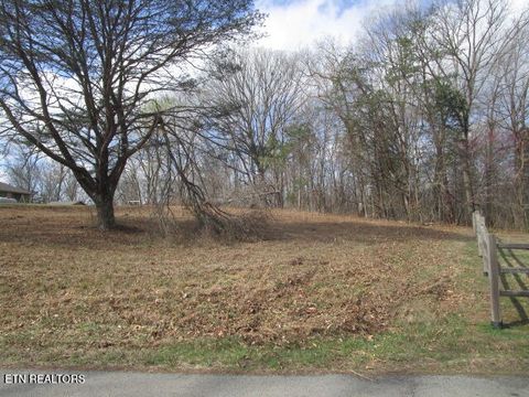 Tiny photo for 285 McKinney Rd, Blaine, TN 37709 (MLS # 1332310)