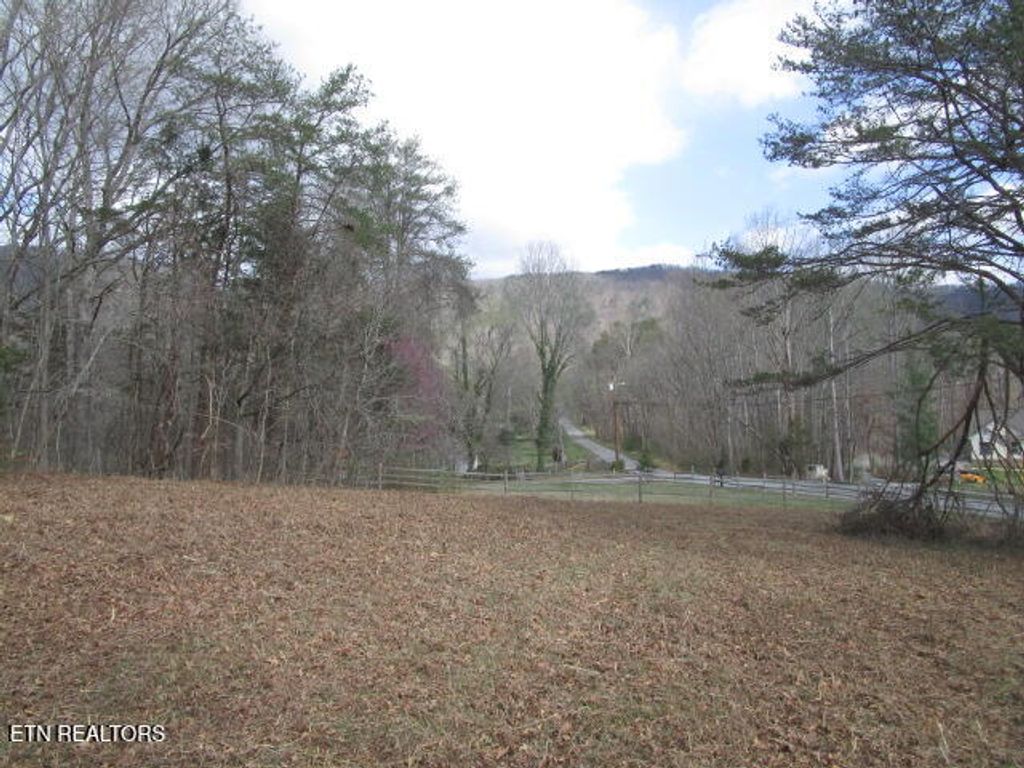 Photo of 285 McKinney Rd, Blaine, TN 37709 (MLS # 1332310)