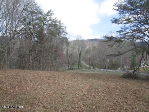 Tiny photo for 285 McKinney Rd, Blaine, TN 37709 (MLS # 1332310)