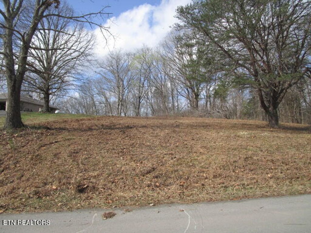 Photo of 285 McKinney Rd, Blaine, TN 37709 (MLS # 1332310)