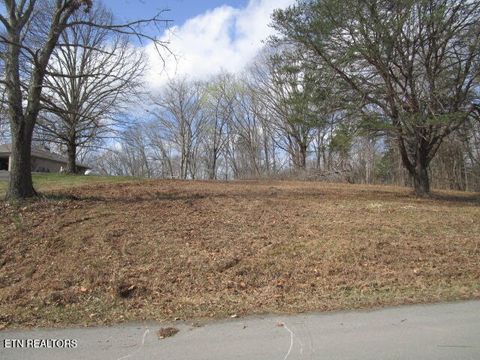 Photo of 285 McKinney Rd, Blaine, TN 37709 (MLS # 1332310)