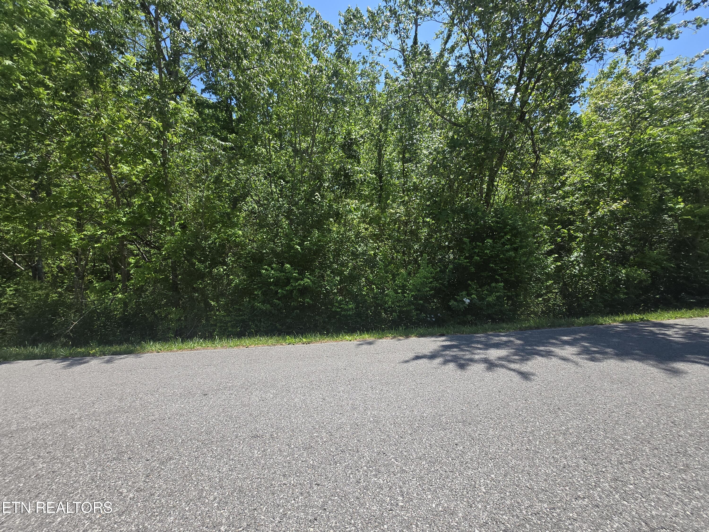 Brookhaven Drive