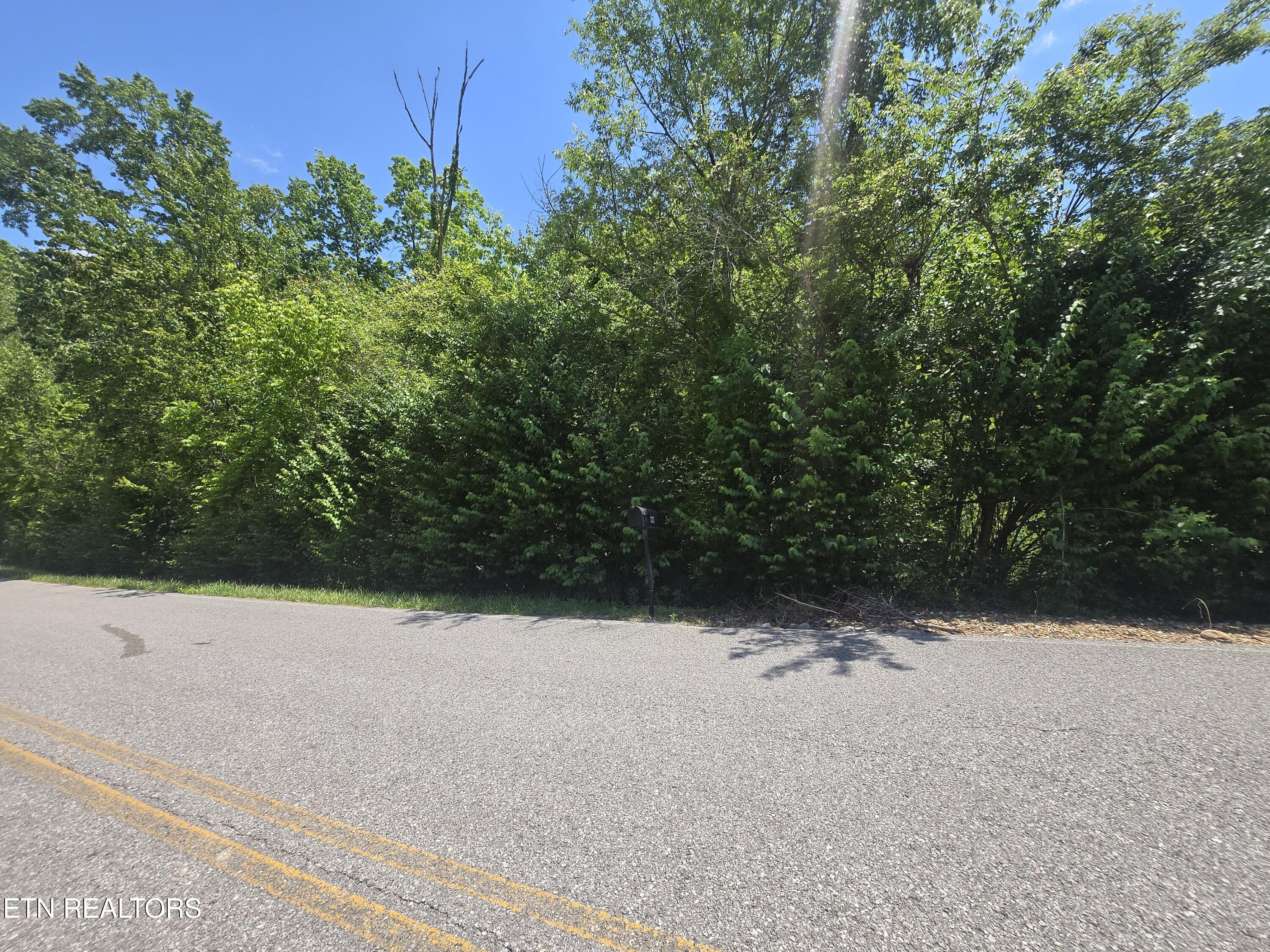 Brookhaven Drive