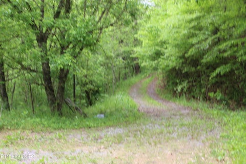 Photo of Leatherwood Rd, Sevierville, TN 37876 (MLS # 1353617)